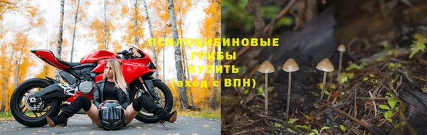 ешки Фурманов